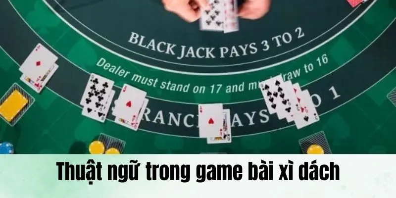 Thuật ngữ mà tân binh cần nắm rõ trong game Blackjack